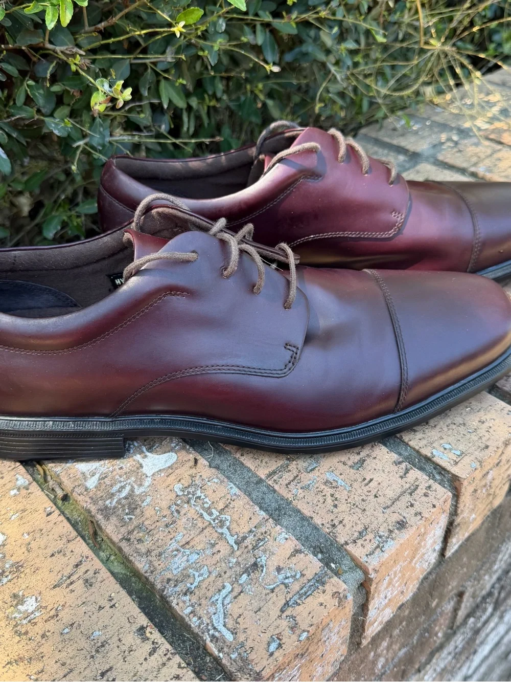 Burgundy Size 13N Rockport Ellingwood Waterproof Captoe Oxford Dress Shoes